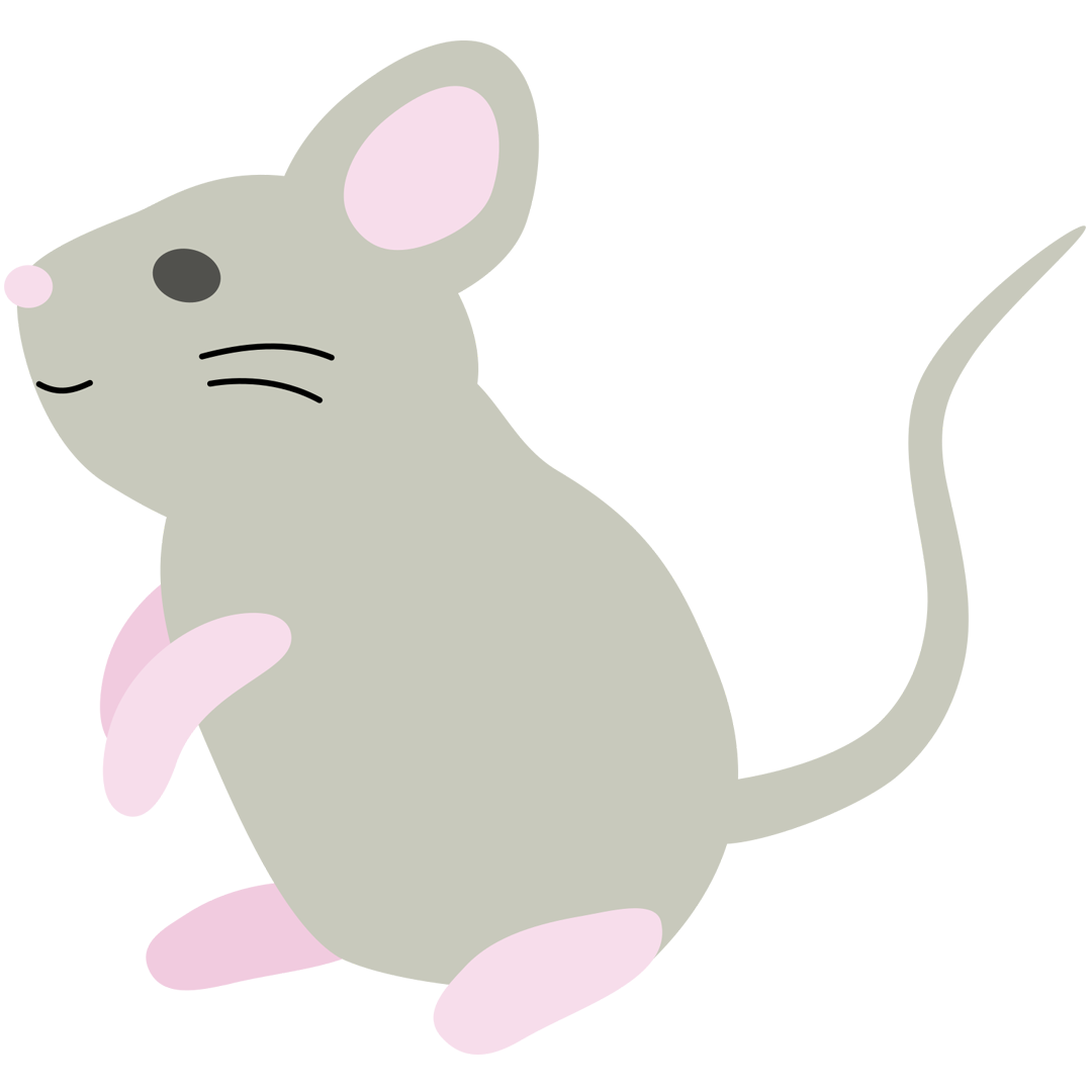 ネズミ1
