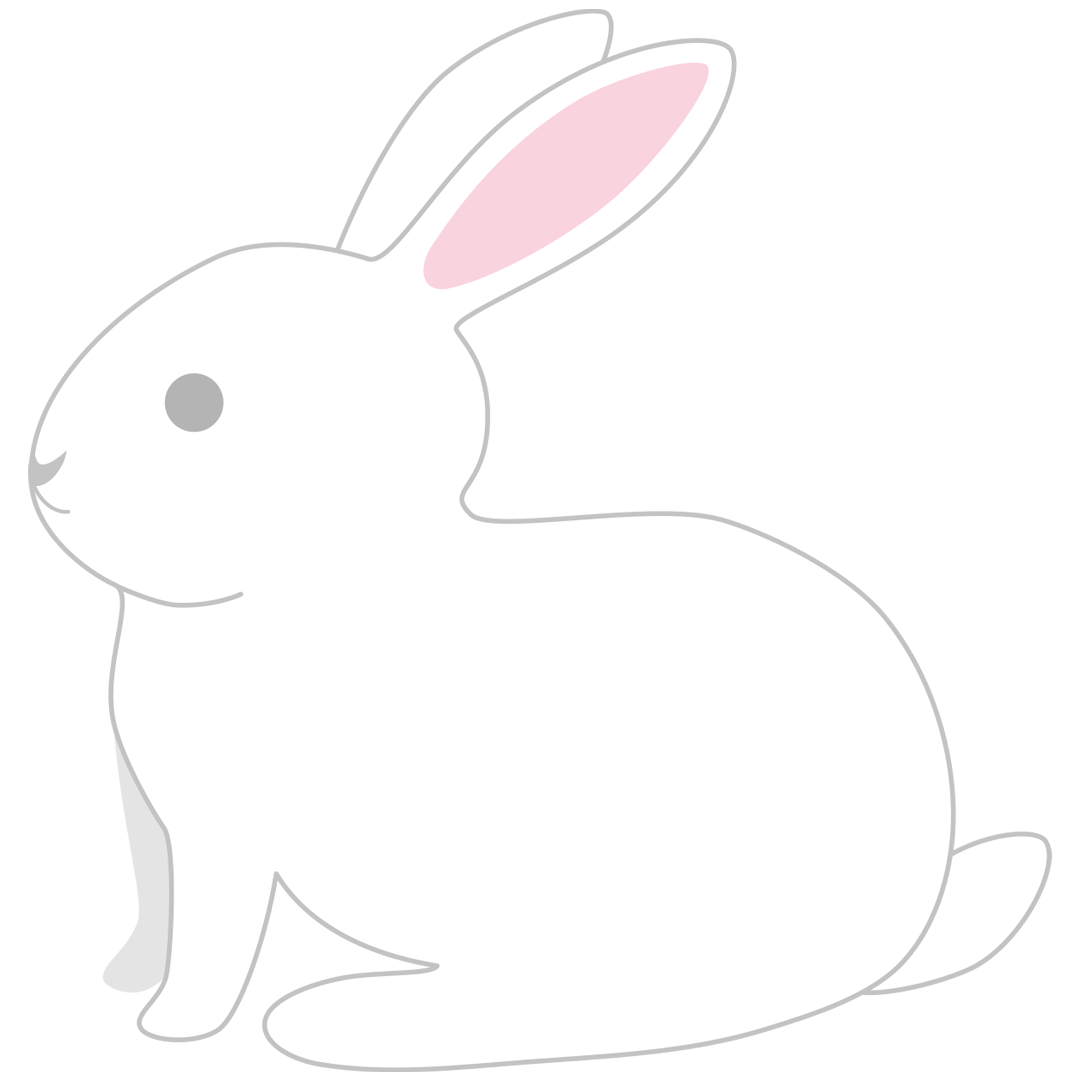 白いウサギ1
